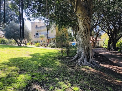 רשימה של כל הקיבוצים בארץ | ביקור בקיבוץ